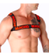 MACHO - ARNÉS DOBLE ROJO