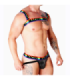 MACHO - ARNÉS DOBLE PRIDE LIMITED