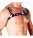MACHO - ARNÉS DOBLE PRIDE LIMITED