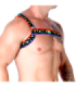 MACHO - ARNÉS ROMANO PRIDE L/XL