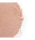 SECRETPLAY - GOLDEN LIGHT KIT POLVOS COMESTIBLES Y PLUMA FRESAS & CAVA