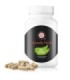 SteadyHole – Complemento alimenticio para el bienestar digestivo