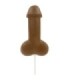SPENCER & FLEETWOOD - PIRULETA PENE CHOCOLATE CON LECHE