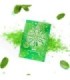 SECRETPLAY - CARAMELOS EXPLOSIVOS MENTA