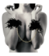 COQUETTE CHIC DESIRE - ESPOSAS DELUXE
