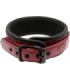 FETISH SUBMISSIVE DARK ROOM - COLLAR CON CADENA CON FORRO DE NEOPRENO