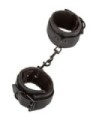 CALEXOTICS - BOUNDLESS ANKLE CUFFS ESPOSAS TOBILLERAS