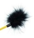 CALEXOTICS - BOUNDLESS CULTIVO DE PLUMAS