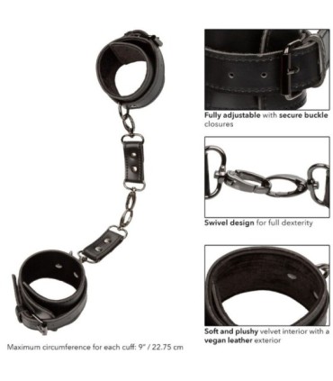 CALEXOTICS - EUPHORIA ESPOSAS