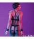 CALEXOTICS - EUPHORIA ESPOSAS