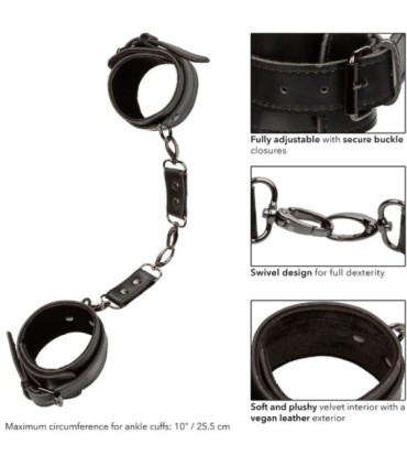 CALEXOTICS - EUPHORIA ESPOSAS PARA TOBILLOS