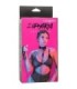 CALEXOTICS - EUPHORIA COLLAR CON CORREA DE CADENA
