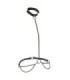 CALEXOTICS - EUPHORIA COLLAR HALTER Y CORREA CON CADENA