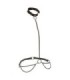 CALEXOTICS - EUPHORIA COLLAR HALTER Y CORREA CON CADENA TALLA PLUS