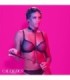 CALEXOTICS - EUPHORIA COLLAR HALTER Y CORREA CON CADENA