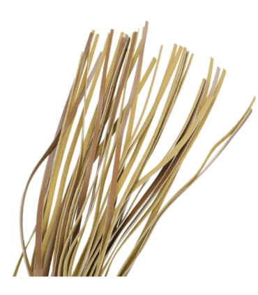 FETISH SUBMISSIVE ORIGEN - LTIGO CUERO VEGANO