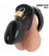 ADDICTED TOYS LOCKED - FORBIDDEN VAULT JAULA PARA PENE 10 CM