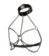 CALEXOTICS - EUPHORIA ARNÉS DE CUELLO DE CADENA TALLA GRANDE