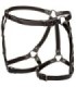 CALEXOTICS - EUPHORIA ARNÉS DE MUSLO EQUITACIÓN TALLA GRANDE