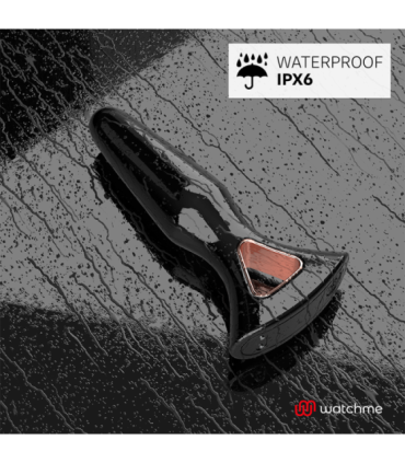 ANBIGUO - WATCHME CONTROL REMOTO VIBRADOR PLUG ANAL ALEXANDRU