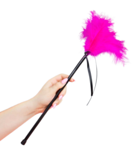 SECRETPLAY - PLUMERO PLUMAS ROSA 40 CM
