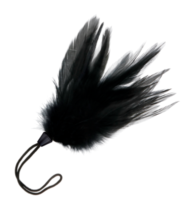 DARKNESS - PLUMA ESTIMULADORA NEGRO 17 CM