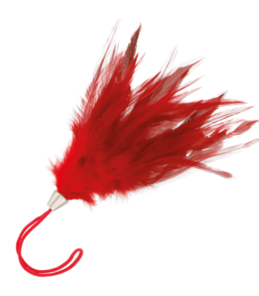 DARKNESS - PLUMA ESTIMULADORA ROJO 17CM