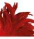 DARKNESS - PLUMA ESTIMULADORA ROJO 24CM