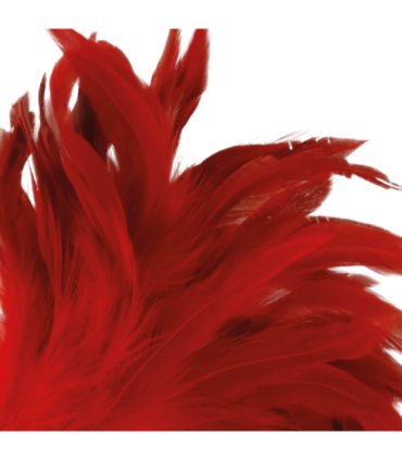 DARKNESS - PLUMA ESTIMULADORA ROJO 24CM