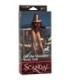 CALEXOTICS - SCANDAL TEDDY ONE SIZE