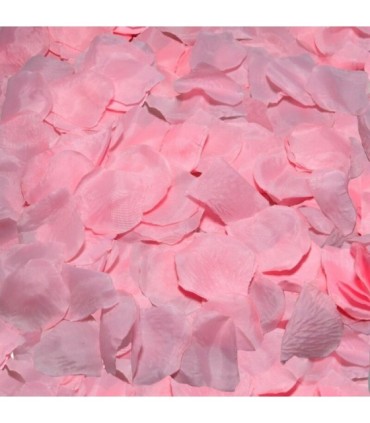 DIABLO PICANTE - 100 PÉTALOS ROSA