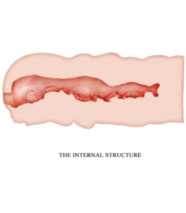 CRAZY BULL - ISABEL MASTURBADOR VAGINA 13.5 CM