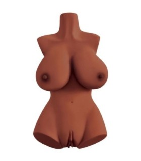 PDX PLUS - PERFECT 10 TORSO MARRÓN