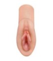 PDX PLUS - MASTURBADOR PERFECT PUSSY DREAM STROKER