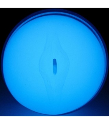 KIIROO - FEEL GLOW IN THE DARK STROKER