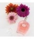 EYE OF LOVE - EOL PHR PERFUME DELUXE 50 ML - ONE LOVE