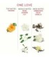 EYE OF LOVE - EOL PERFUME FEROMONAS 10 ML - ONE LOVE