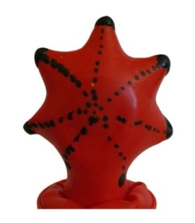 CONDOMERIE - PRESERVATIVO DECORATIVO PINTADO A MANO ESTRELLA DE MAR
