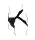 GET REAL - STRAP-ON HARNÉS NEGRO