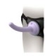 DILLIO - ARNÉS BODY DOCK VIOLETA
